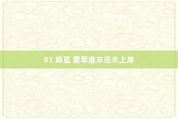 91 麻豆 雷军造车还未上岸