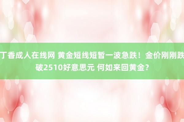 丁香成人在线网 黄金短线短暂一波急跌！金价刚刚跌破2510好意思元 何如来回黄金？