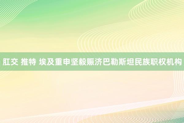 肛交 推特 埃及重申坚毅赈济巴勒斯坦民族职权机构
