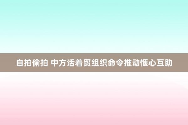 自拍偷拍 中方活着贸组织命令推动惬心互助