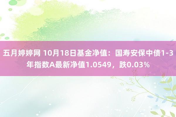 五月婷婷网 10月18日基金净值：国寿安保中债1-3年指数A最新净值1.0549，跌0.03%