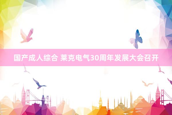 国产成人综合 莱克电气30周年发展大会召开