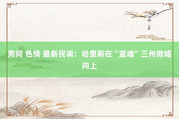 男同 色情 最新民调：哈里斯在“蓝墙”三州微幅向上