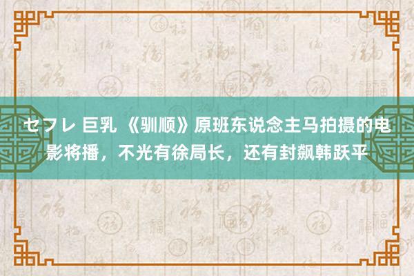セフレ 巨乳 《驯顺》原班东说念主马拍摄的电影将播，不光有徐局长，还有封飙韩跃平