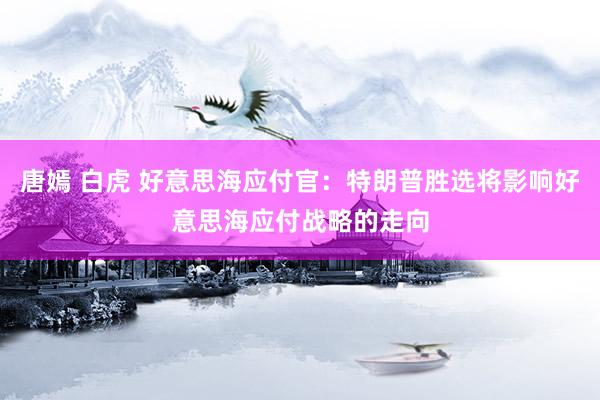 唐嫣 白虎 好意思海应付官：特朗普胜选将影响好意思海应付战略的走向