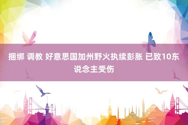 捆绑 调教 好意思国加州野火执续彭胀 已致10东说念主受伤