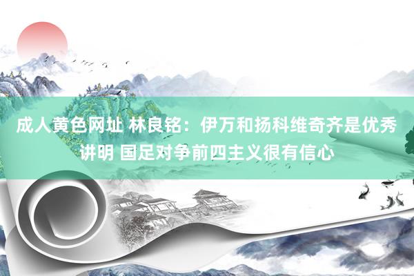 成人黄色网址 林良铭：伊万和扬科维奇齐是优秀讲明 国足对争前四主义很有信心