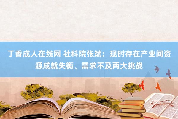 丁香成人在线网 社科院张斌：现时存在产业间资源成就失衡、需求不及两大挑战