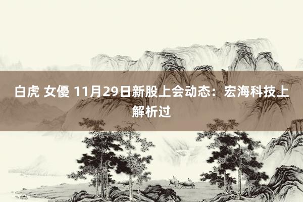 白虎 女優 11月29日新股上会动态：宏海科技上解析过