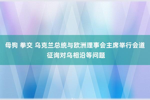 母狗 拳交 乌克兰总统与欧洲理事会主席举行会道 征询对乌相沿等问题