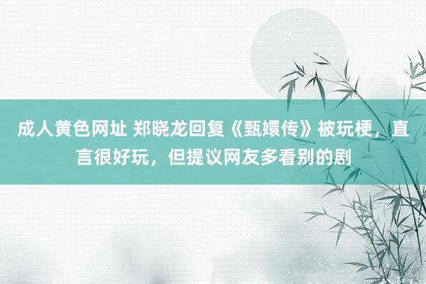 成人黄色网址 郑晓龙回复《甄嬛传》被玩梗，直言很好玩，但提议网友多看别的剧