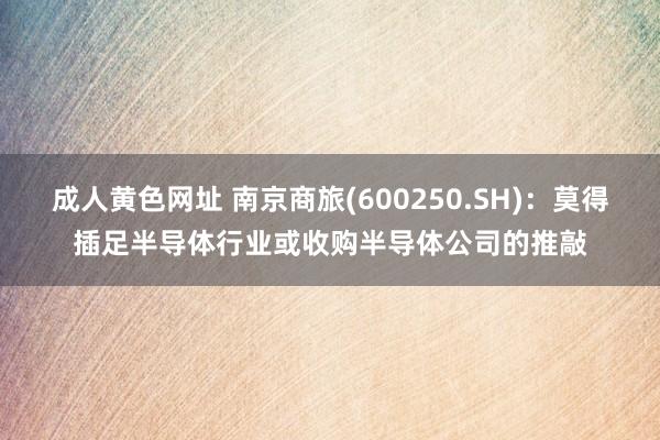 成人黄色网址 南京商旅(600250.SH)：莫得插足半导体行业或收购半导体公司的推敲