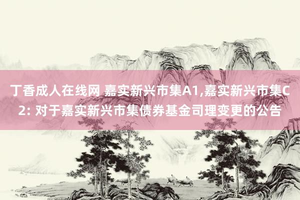 丁香成人在线网 嘉实新兴市集A1，嘉实新兴市集C2: 对于嘉实新兴市集债券基金司理变更的公告