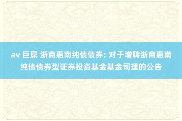 av 巨屌 浙商惠南纯债债券: 对于增聘浙商惠南纯债债券型证券投资基金基金司理的公告