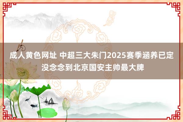 成人黄色网址 中超三大朱门2025赛季涵养已定 没念念到北京国安主帅最大牌