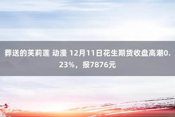 葬送的芙莉莲 动漫 12月11日花生期货收盘高潮0.23%，报7876元