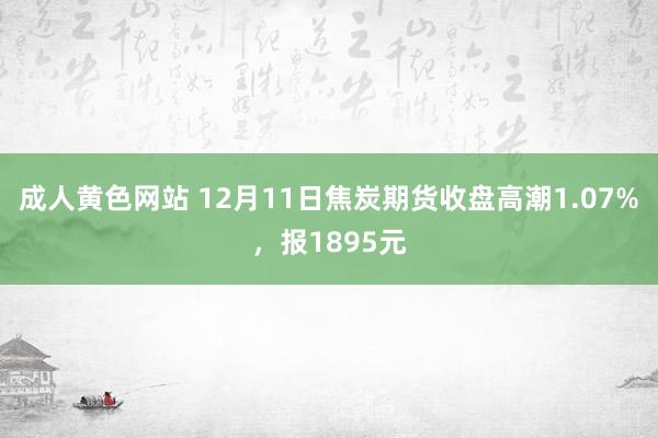 成人黄色网站 12月11日焦炭期货收盘高潮1.07%，报1895元