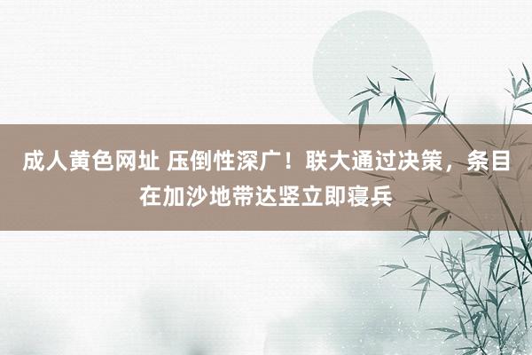 成人黄色网址 压倒性深广！联大通过决策，条目在加沙地带达竖立即寝兵