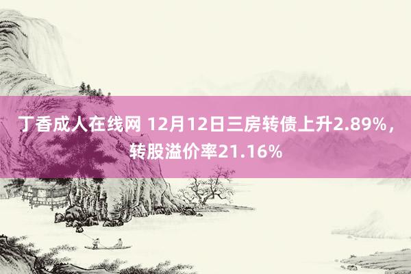 丁香成人在线网 12月12日三房转债上升2.89%，转股溢价率21.16%