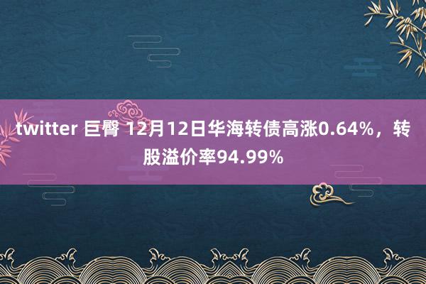 twitter 巨臀 12月12日华海转债高涨0.64%，转股溢价率94.99%
