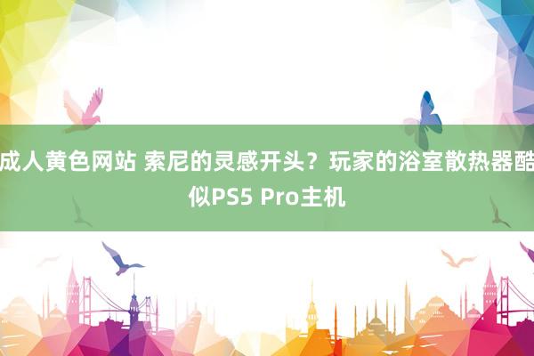 成人黄色网站 索尼的灵感开头？玩家的浴室散热器酷似PS5 Pro主机