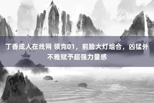 丁香成人在线网 领克01，前脸大灯组合，凶猛外不雅赋予超强力量感