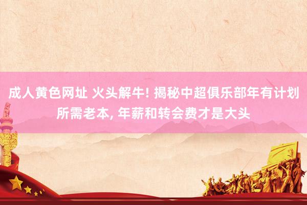 成人黄色网址 火头解牛! 揭秘中超俱乐部年有计划所需老本， 年薪和转会费才是大头