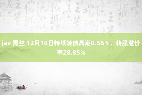 jav 黑丝 12月18日特纸转债高潮0.56%，转股溢价率28.85%