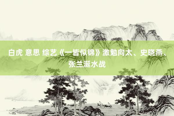 白虎 意思 综艺《一皆似锦》激勉向太、史晓燕、张兰涎水战