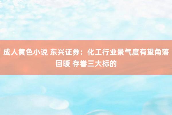 成人黄色小说 东兴证券：化工行业景气度有望角落回暖 存眷三大标的