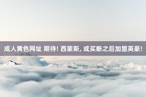 成人黄色网址 期待! 西蒙斯， 或买断之后加盟英豪!
