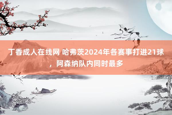 丁香成人在线网 哈弗茨2024年各赛事打进21球，阿森纳队内同时最多