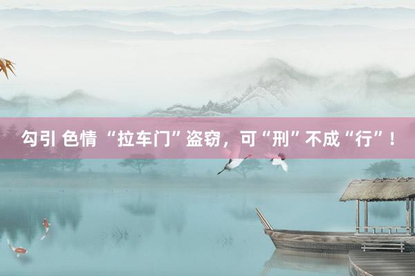 勾引 色情 “拉车门”盗窃，可“刑”不成“行”！