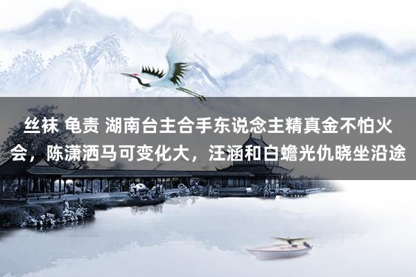 丝袜 龟责 湖南台主合手东说念主精真金不怕火会，陈潇洒马可变化大，汪涵和白蟾光仇晓坐沿途