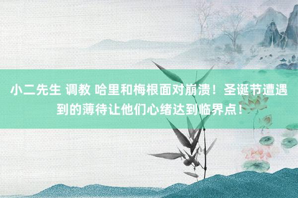 小二先生 调教 哈里和梅根面对崩溃！圣诞节遭遇到的薄待让他们心绪达到临界点！