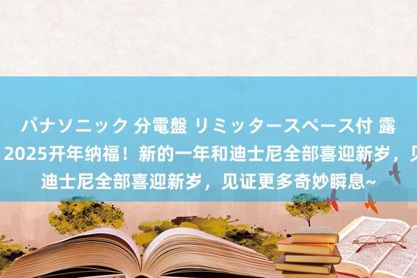 パナソニック 分電盤 リミッタースペース付 露出・半埋込両用形 2025开年纳福！新的一年和迪士尼全部喜迎新岁，见证更多奇妙瞬息~