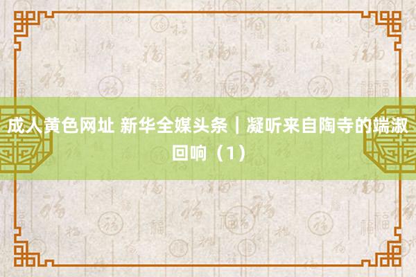 成人黄色网址 新华全媒头条｜凝听来自陶寺的端淑回响（1）