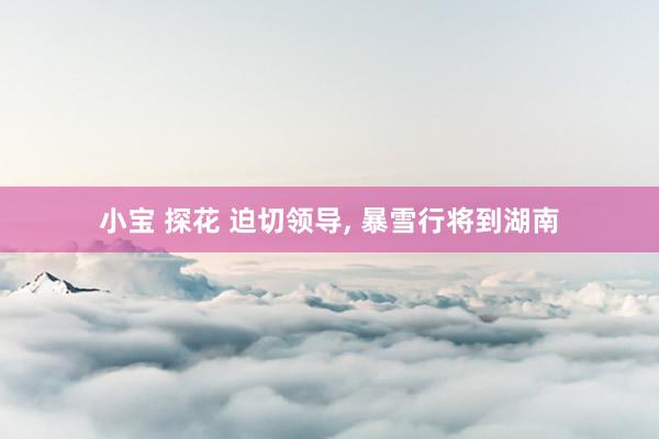 小宝 探花 迫切领导， 暴雪行将到湖南