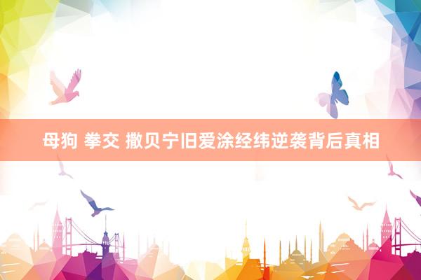 母狗 拳交 撒贝宁旧爱涂经纬逆袭背后真相