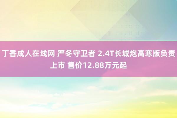 丁香成人在线网 严冬守卫者 2.4T长城炮高寒版负责上市 售价12.88万元起