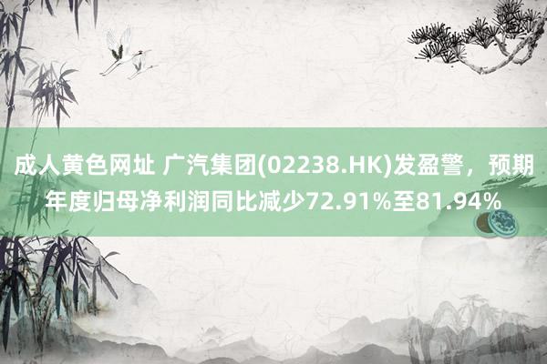 成人黄色网址 广汽集团(02238.HK)发盈警，预期年度归母净利润同比减少72.91%至81.94%