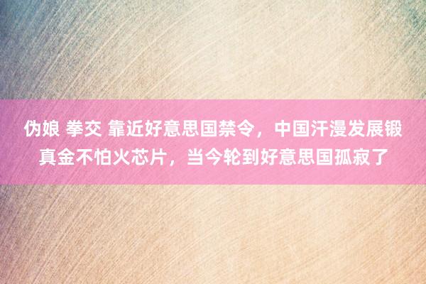 伪娘 拳交 靠近好意思国禁令，中国汗漫发展锻真金不怕火芯片，当今轮到好意思国孤寂了