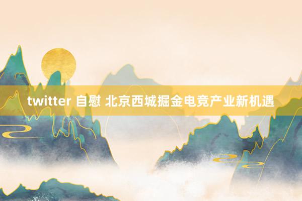 twitter 自慰 北京西城掘金电竞产业新机遇