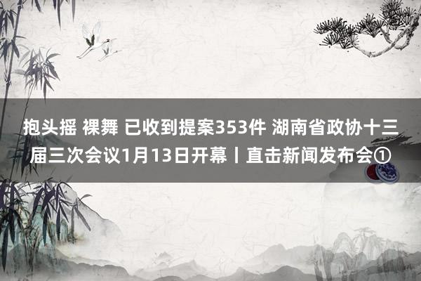 抱头摇 裸舞 已收到提案353件 湖南省政协十三届三次会议1月13日开幕丨直击新闻发布会①