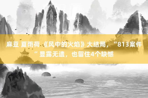 麻豆 夏雨荷 《风中的火焰》大结局，“813案件”显露无遗，也留住4个缺憾