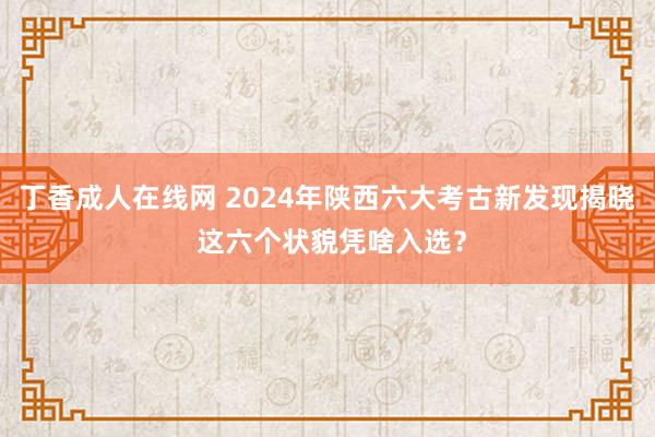 丁香成人在线网 2024年陕西六大考古新发现揭晓 这六个状貌凭啥入选？
