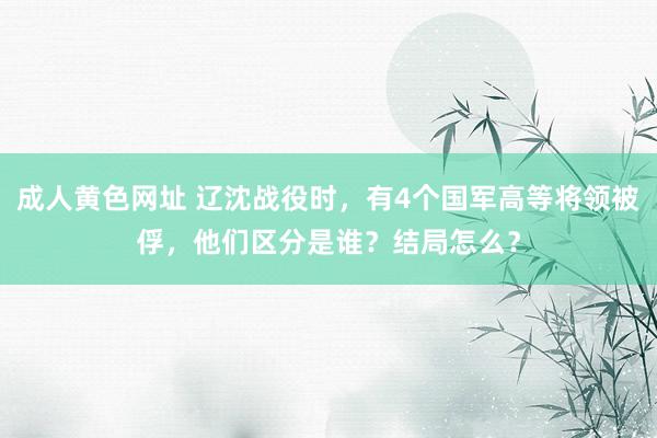 成人黄色网址 辽沈战役时，有4个国军高等将领被俘，他们区分是谁？结局怎么？