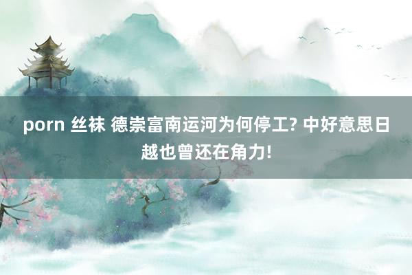 porn 丝袜 德崇富南运河为何停工? 中好意思日越也曾还在角力!