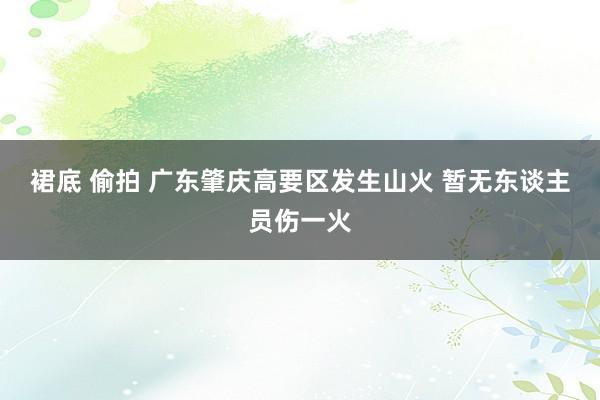 裙底 偷拍 广东肇庆高要区发生山火 暂无东谈主员伤一火