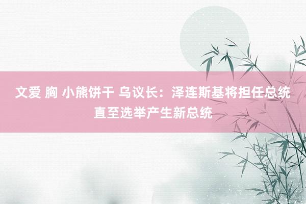 文爱 胸 小熊饼干 乌议长：泽连斯基将担任总统直至选举产生新总统